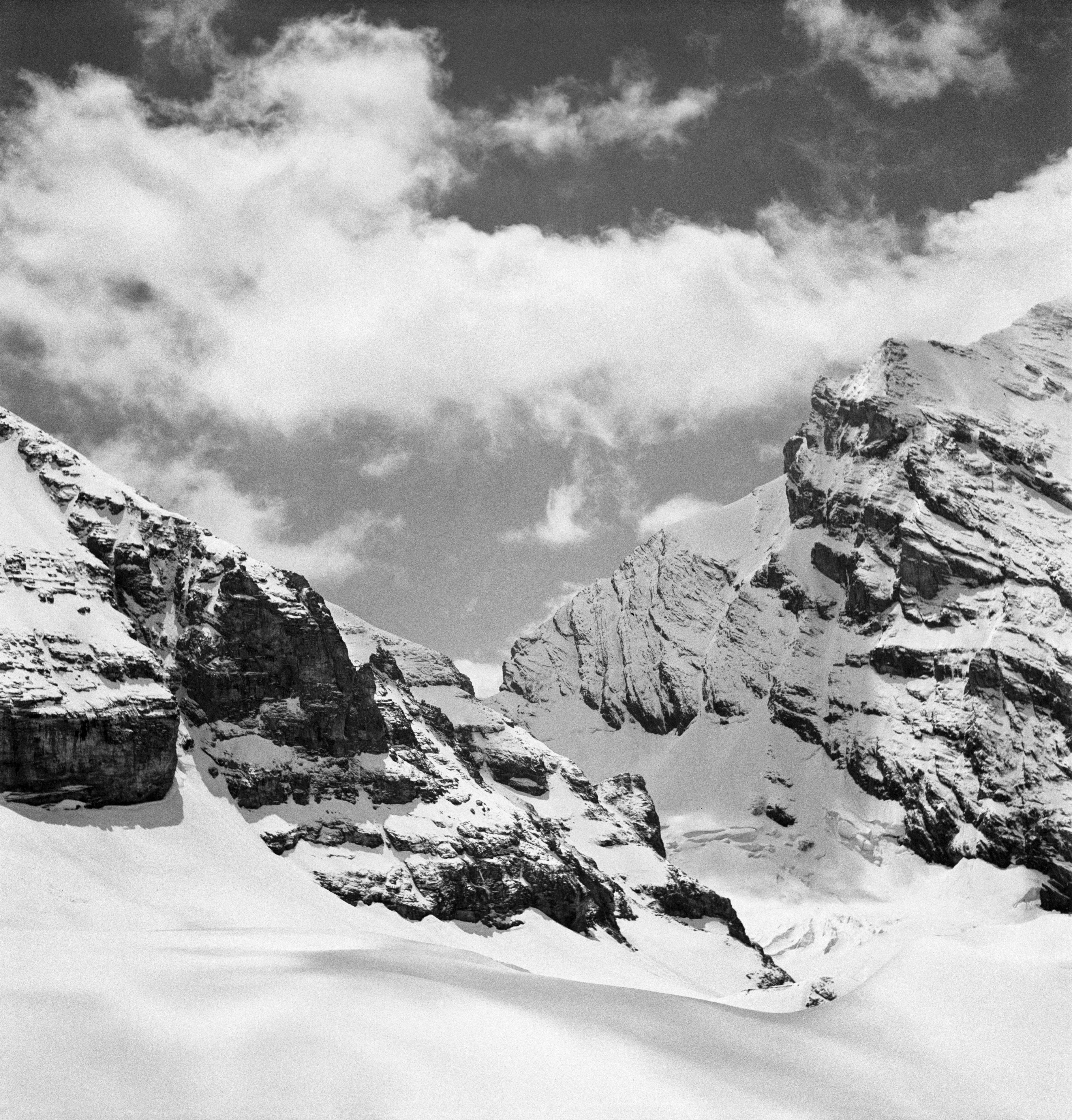 In His Nature • Werner Bischof • Magnum Photos