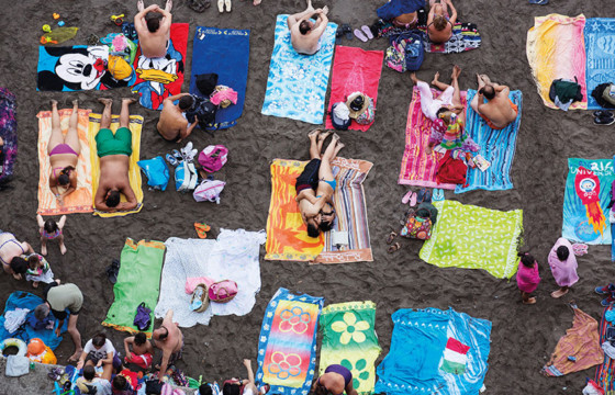◾️TOILET MARTIN PAPER PARR ToiletMartin PaperParr