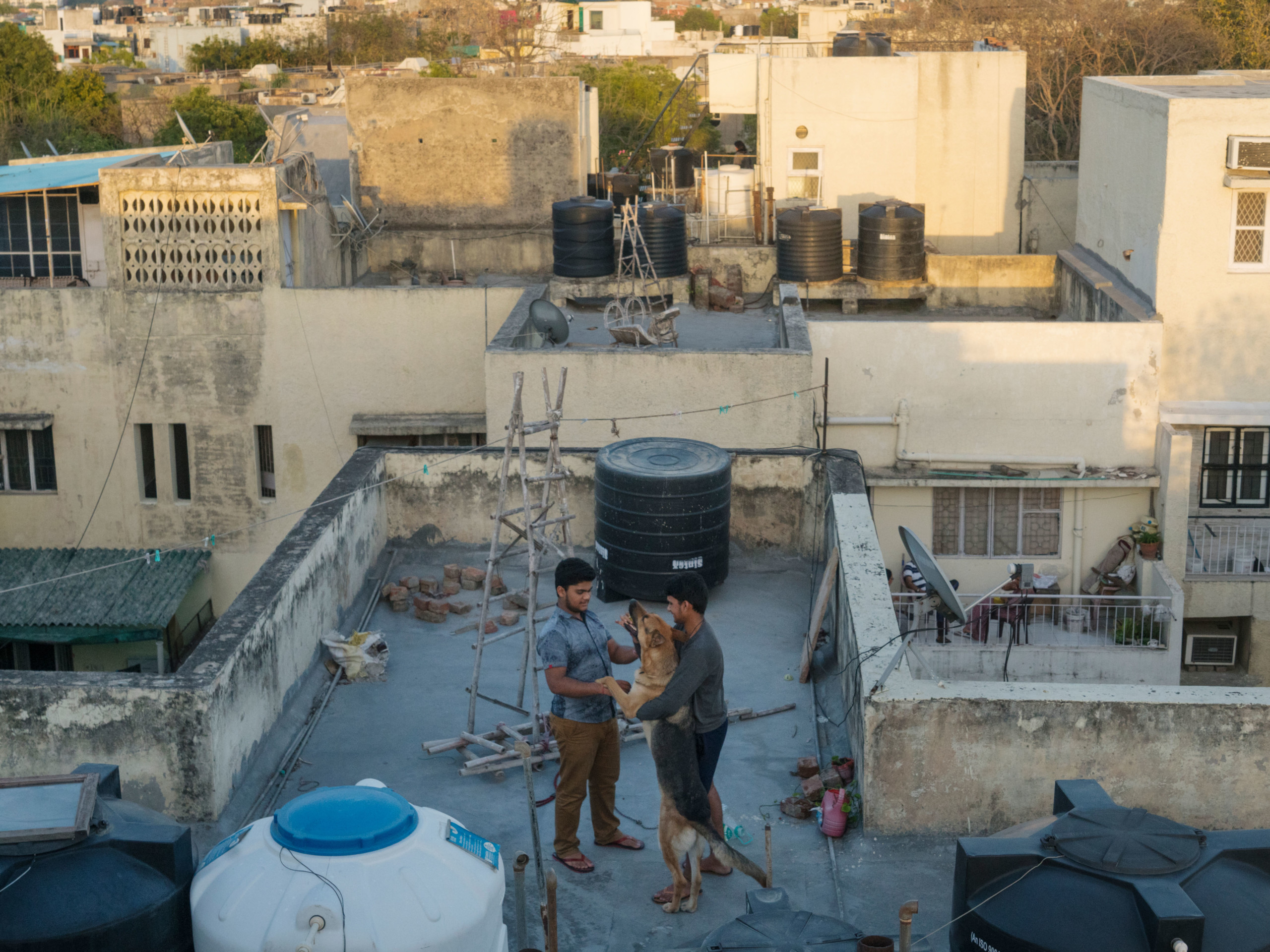 Rooftop Sohrab Hura Magnum Photos