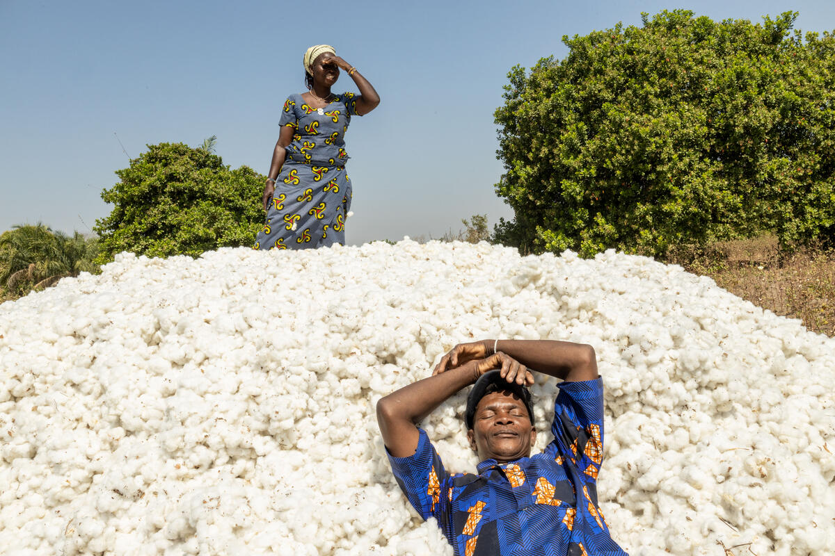 Communities of Benin: Exploring Cultural Richness and Diversity